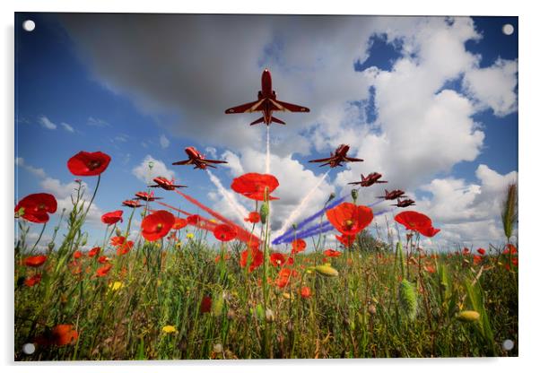 Red Arrows Poppy Fly Past Acrylic by J Biggadike