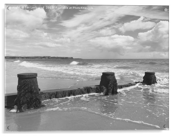 Exmouth over the sea defences at Dawlish Warren Acrylic by Ian Lockwood