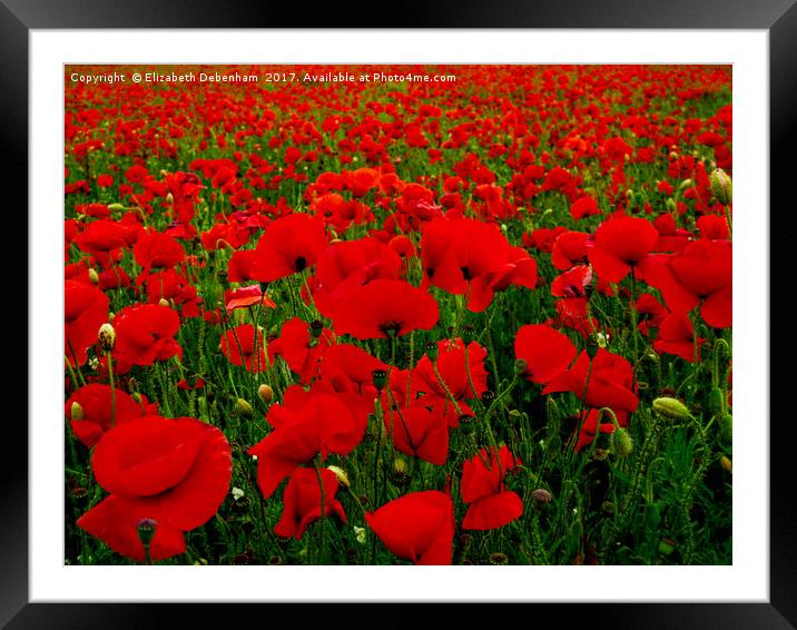 Bright Red Poppy Field Framed Mounted Print by Elizabeth Debenham