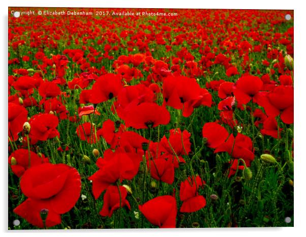 Bright Red Poppy Field Acrylic by Elizabeth Debenham