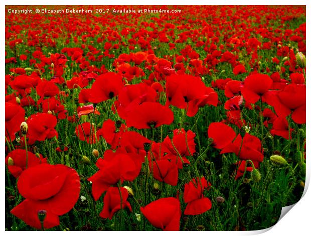 Bright Red Poppy Field Print by Elizabeth Debenham