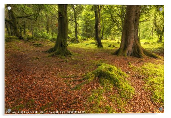 The Ardgartan Forest Acrylic by Len Brook