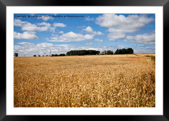 Northumbrian Wheatfields Framed Mounted Print by Jim Jones