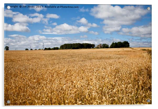 Northumbrian Wheatfields Acrylic by Jim Jones