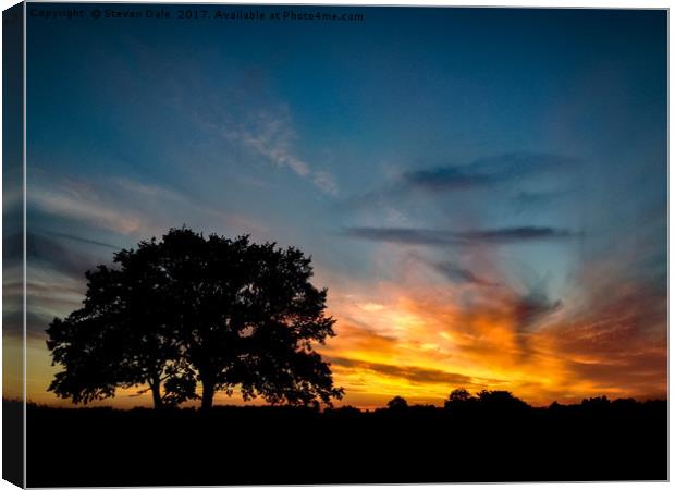 Roman Echoes at Gosbecks Sunset Canvas Print by Steven Dale