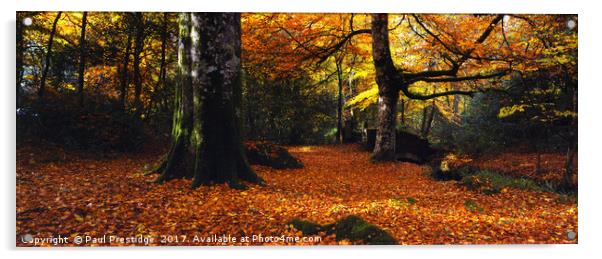 Devon Woods in Autumn Acrylic by Paul F Prestidge