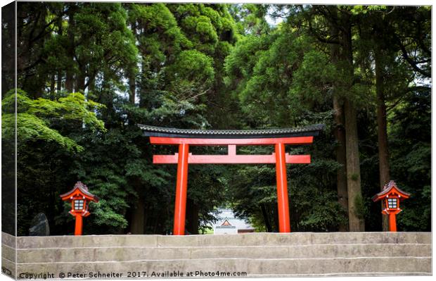 Entrance to Kirishima-Jingu Shrine, Kyushu, Japan. Canvas Print by Peter Schneiter
