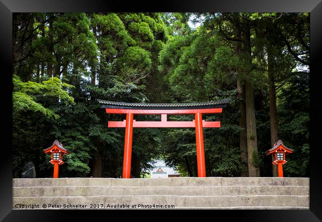 Entrance to Kirishima-Jingu Shrine, Kyushu, Japan. Framed Print by Peter Schneiter