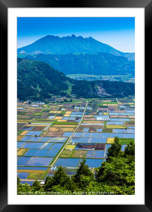 Rice fields, Aso Town, Kyushu, Japan Framed Mounted Print by Peter Schneiter