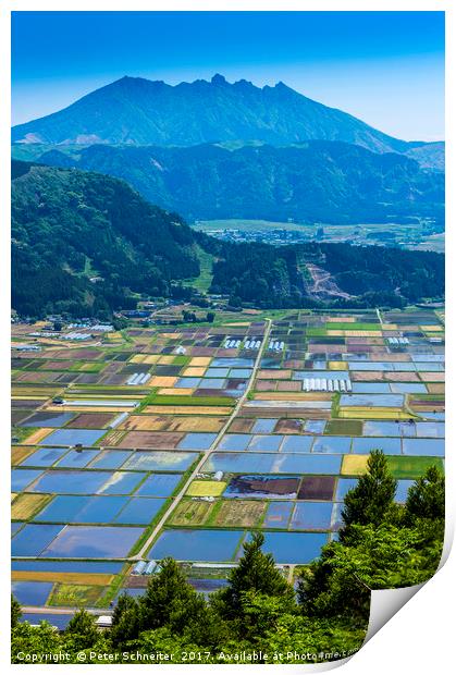 Rice fields, Aso Town, Kyushu, Japan Print by Peter Schneiter