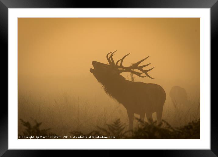 Bellow in the mist Framed Mounted Print by Martin Griffett