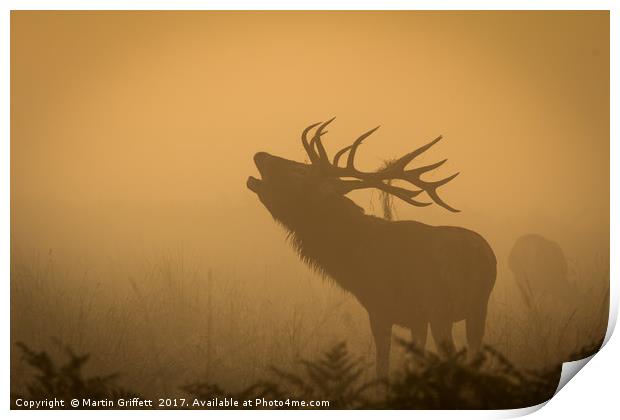 Bellow in the mist Print by Martin Griffett