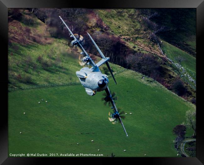 Airbus A400M Atlas Framed Print by Mal Durbin