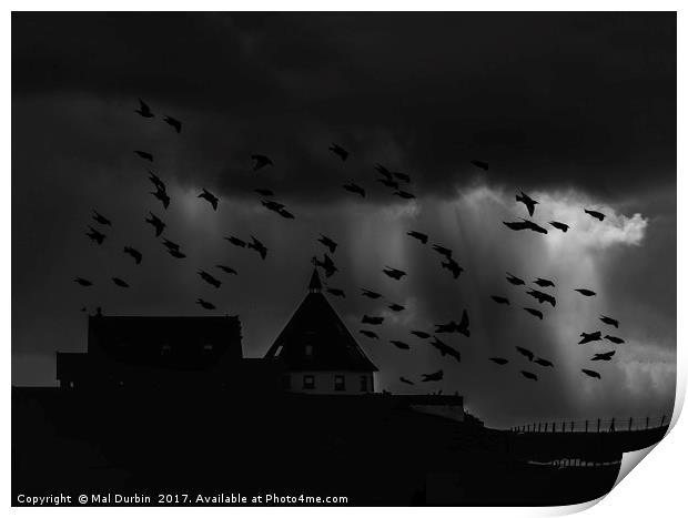 Stormy Murmuration Print by Mal Durbin
