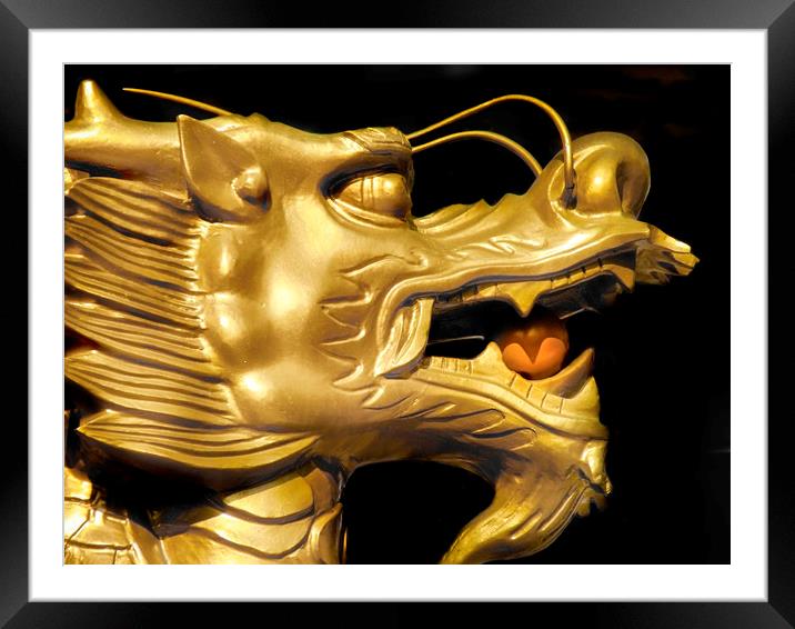 Golden Dragon Framed Mounted Print by Mary Lane