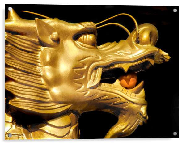 Golden Dragon Acrylic by Mary Lane
