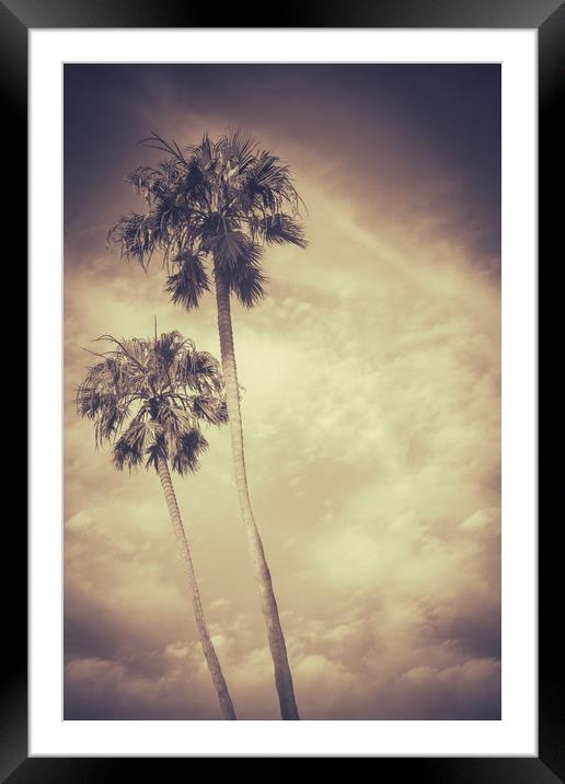 Sepia Toned Retro Palms Framed Mounted Print by Mr Doomits
