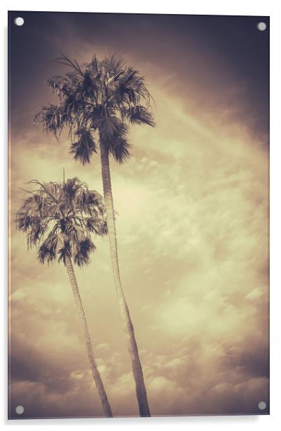 Sepia Toned Retro Palms Acrylic by Mr Doomits