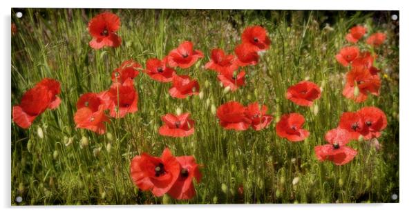 POPPY FIELD Acrylic by Anthony R Dudley (LRPS)