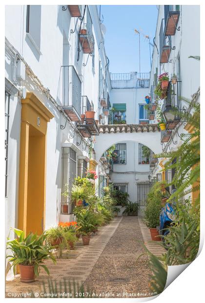 small spanish street with flowers  Print by Chris Willemsen
