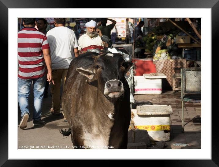 Moov  Framed Mounted Print by Rob Hawkins