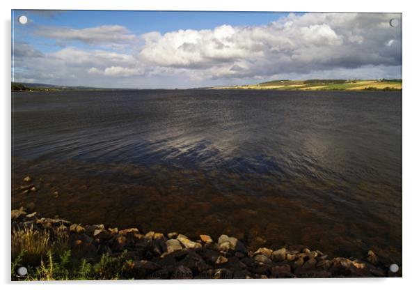 The Cromarty Firth Acrylic by Steven Watson