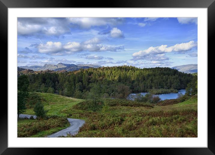 Tarn Hows and the Langdale Hills Framed Mounted Print by Jacqi Elmslie