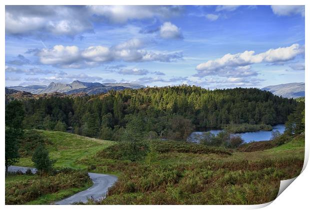 Tarn Hows and the Langdale Hills Print by Jacqi Elmslie