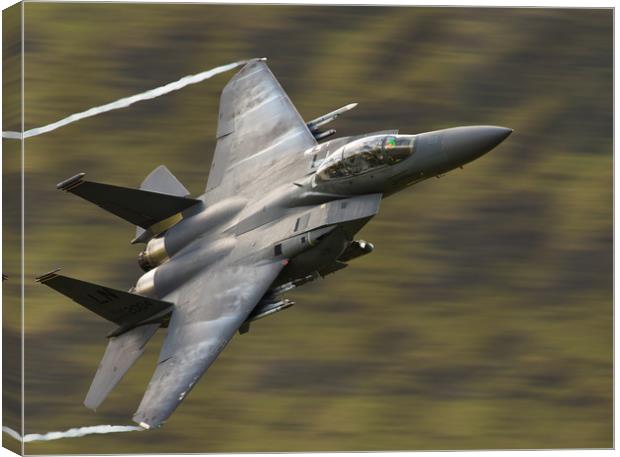 F-15 Eagle Canvas Print by Rory Trappe