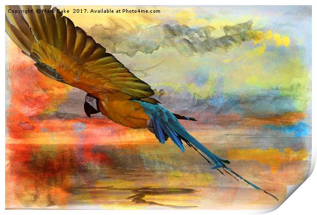 Gliding the tropics Print by Mark Cake