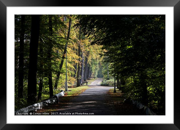 autum forest Framed Mounted Print by Chris Willemsen