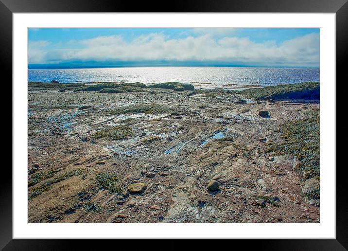 Bay of Fundy Framed Mounted Print by Mary Lane