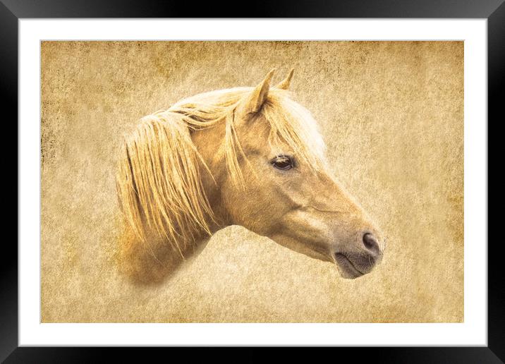 Horse Framed Mounted Print by Roger Green