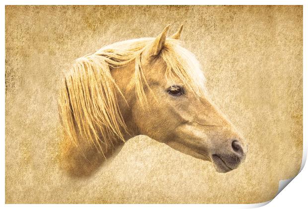 Horse Print by Roger Green