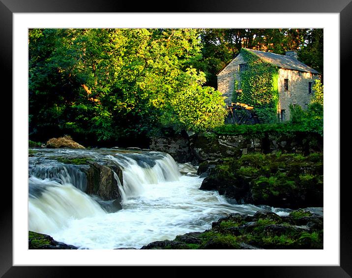 The Old Mill. Framed Mounted Print by paulette hurley