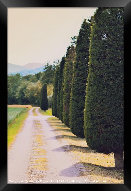  Country Road with Cypress Tree Framed Print by Monika Sakowska
