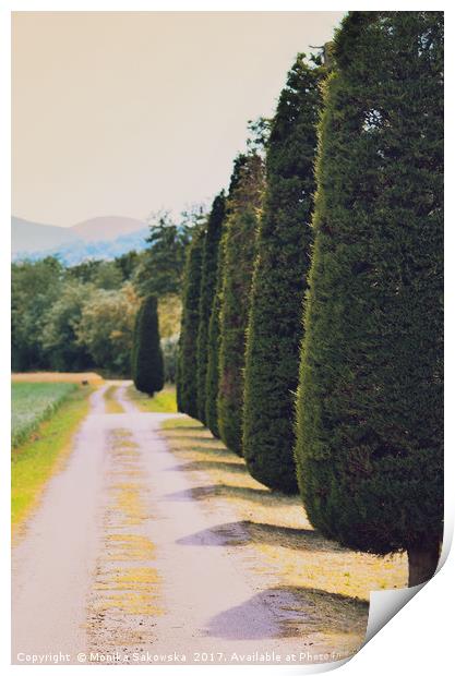  Country Road with Cypress Tree Print by Monika Sakowska