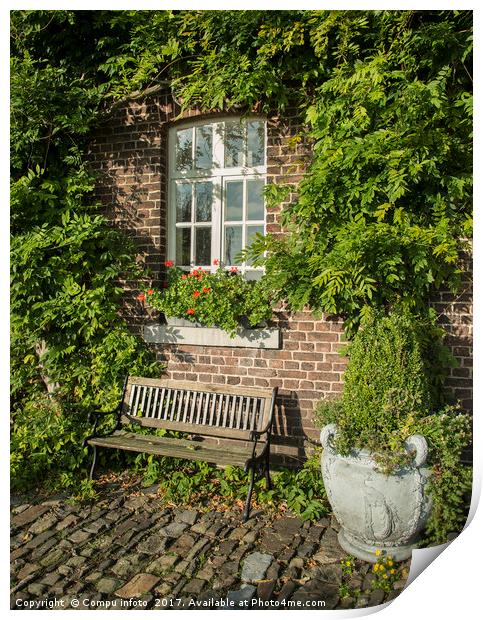 old farm with green plants on the wall Print by Chris Willemsen