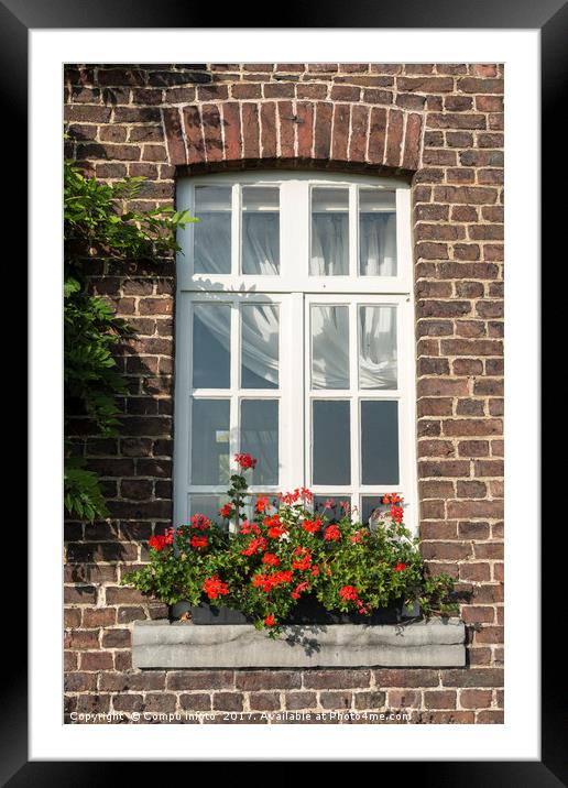 windo in old wall with french geranium flowers Framed Mounted Print by Chris Willemsen