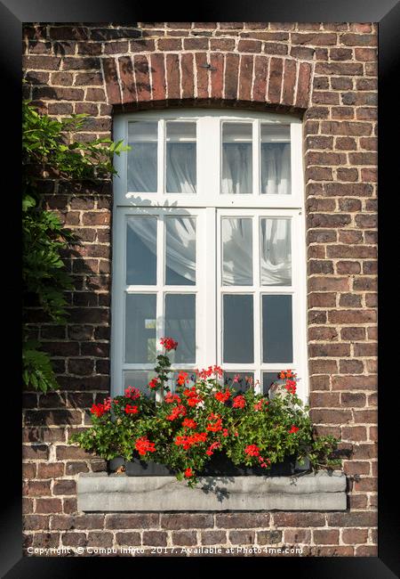 windo in old wall with french geranium flowers Framed Print by Chris Willemsen