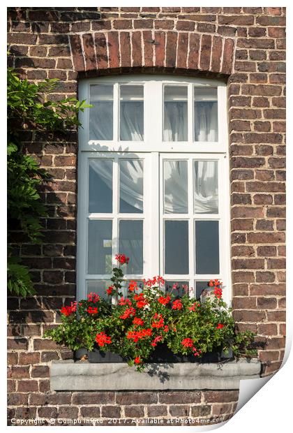 windo in old wall with french geranium flowers Print by Chris Willemsen