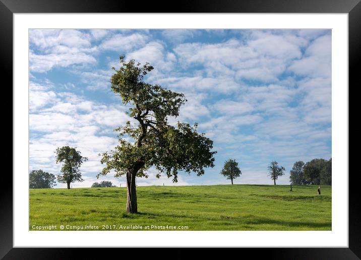 single tree in belgium landscape Framed Mounted Print by Chris Willemsen