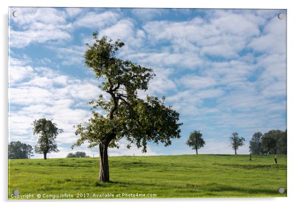 single tree in belgium landscape Acrylic by Chris Willemsen