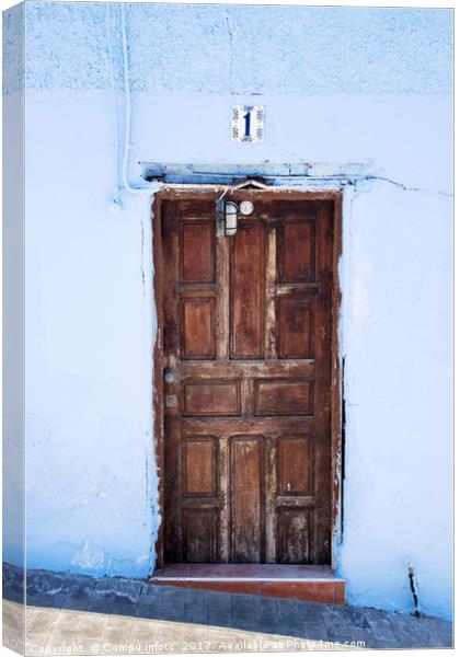 old wooden door Canvas Print by Chris Willemsen
