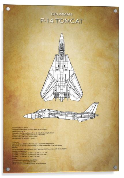 F14 Tomcat Blueprint Acrylic by J Biggadike