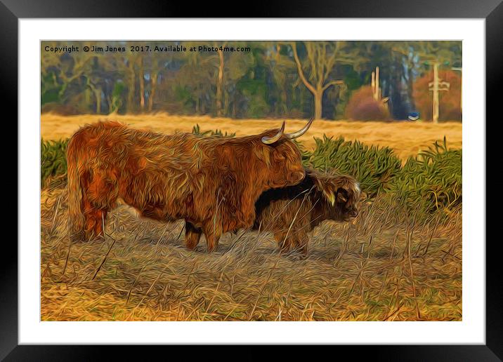 Highland cow and calf with artistic filter Framed Mounted Print by Jim Jones
