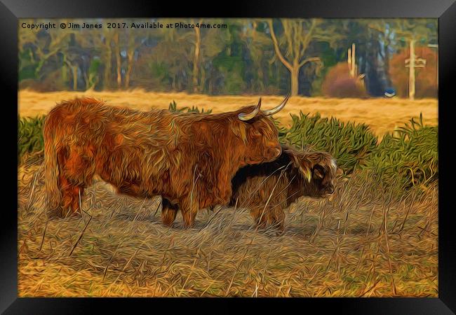Highland cow and calf with artistic filter Framed Print by Jim Jones