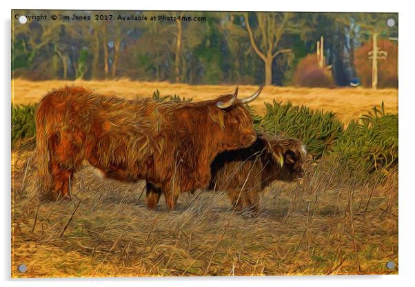 Highland cow and calf with artistic filter Acrylic by Jim Jones
