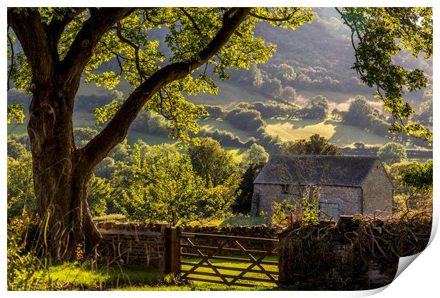 Llanthony Valley Print by Mal Spain