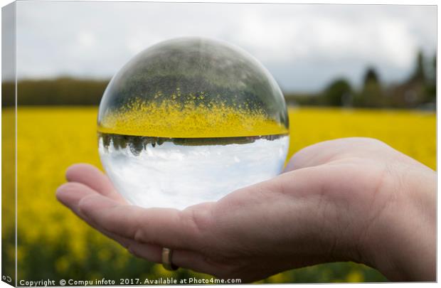 Round glass ball rapeseed field Canvas Print by Chris Willemsen